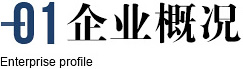 企業概況